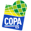 Copa Espírito Santo