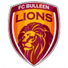 Bulleen Lions