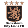 Bankstown City Lions