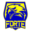 Forte FC